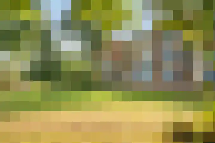 De Zoom 36 Ede