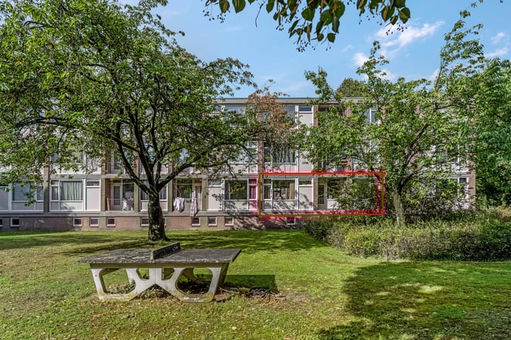 De Zoom 4 in Ede foto