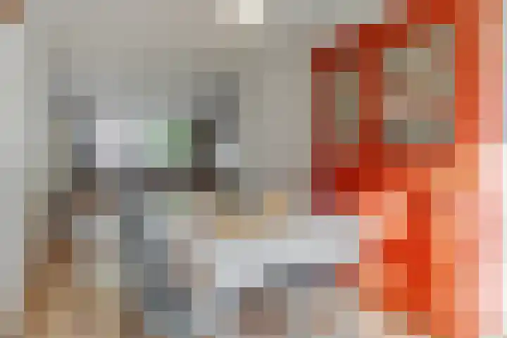 De Zoom 4 Ede thumbnail 12