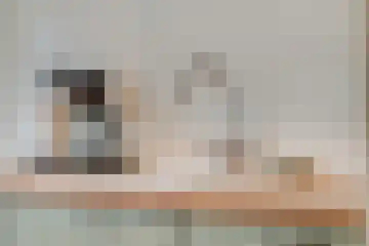 De Zoom 4 Ede thumbnail 19