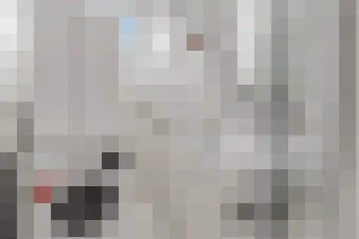 De Zoom 4 Ede thumbnail 25