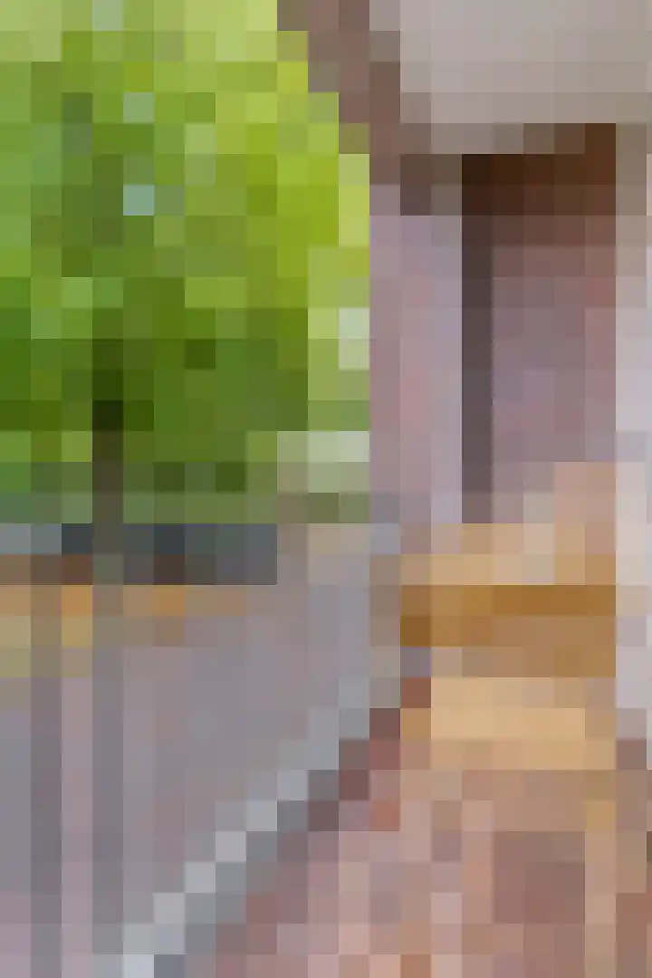 De Zoom 4 Ede thumbnail 26