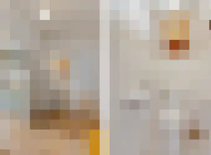 De Zoom 4 Ede thumbnail 27