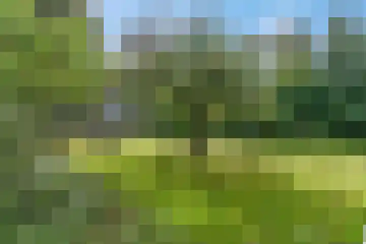 De Zoom 4 Ede thumbnail 35