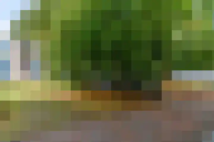 De Zoom 4 Ede thumbnail 36