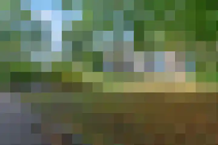 De Zoom 4 Ede thumbnail 37