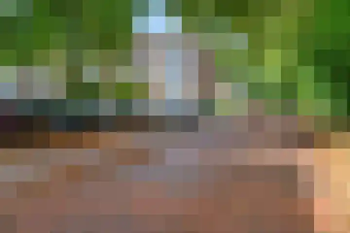 De Zoom 4 Ede thumbnail 38