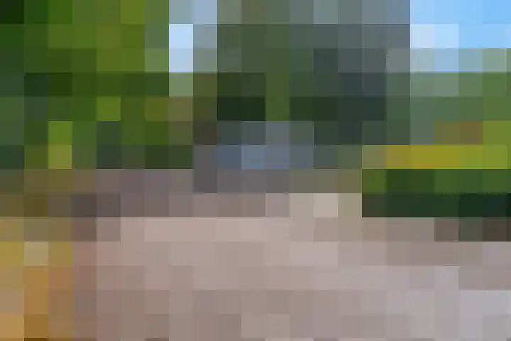 De Zoom 4 Ede thumbnail 39