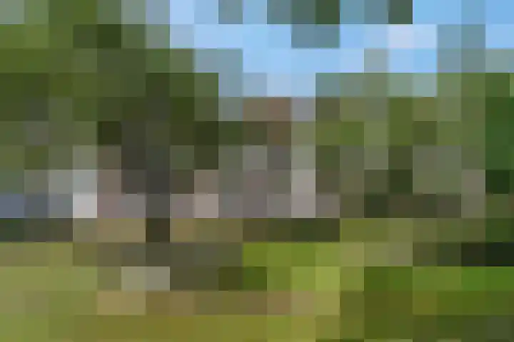 De Zoom 4 Ede thumbnail 43