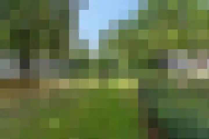 De Zoom 4 Ede thumbnail 5