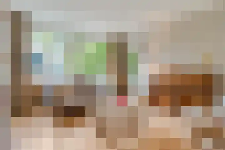 De Zoom 4 Ede thumbnail 8