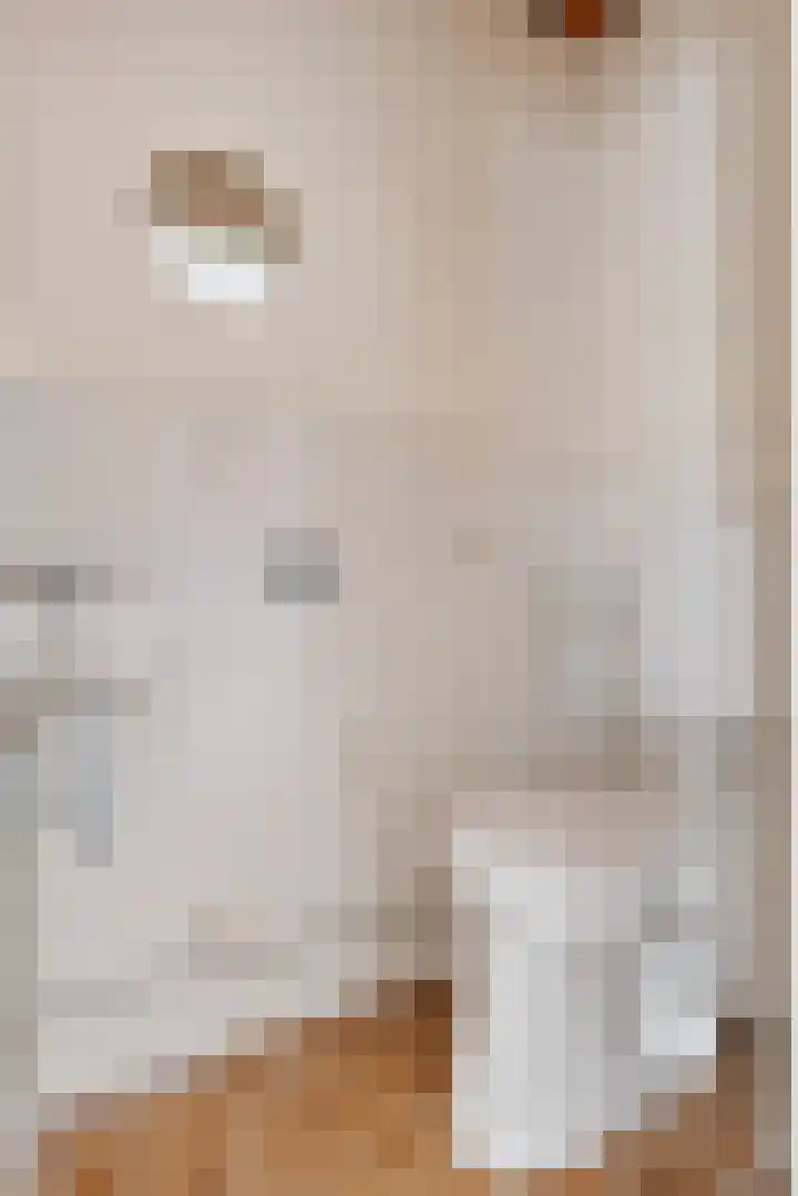 De Zuid 11 Dronten thumbnail 10