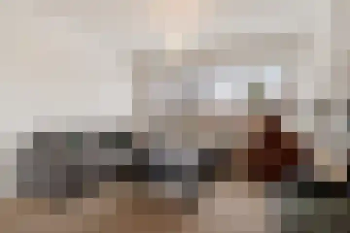 De Zuid 11 Dronten thumbnail 12