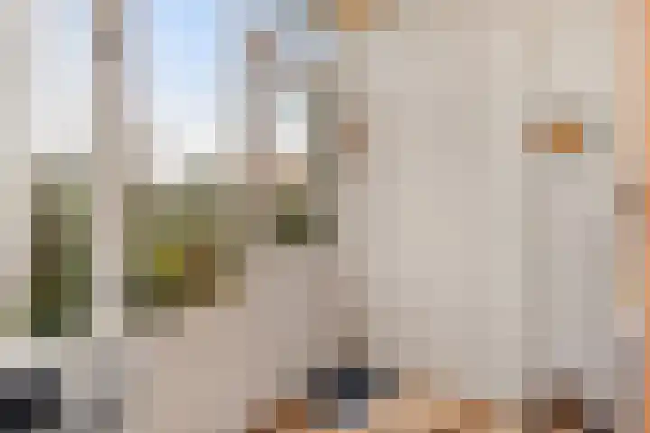 De Zuid 11 Dronten thumbnail 22
