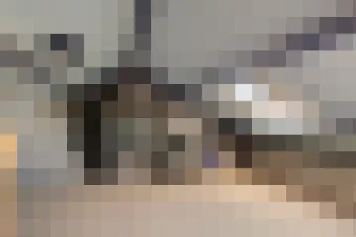 De Zuid 11 Dronten thumbnail 33