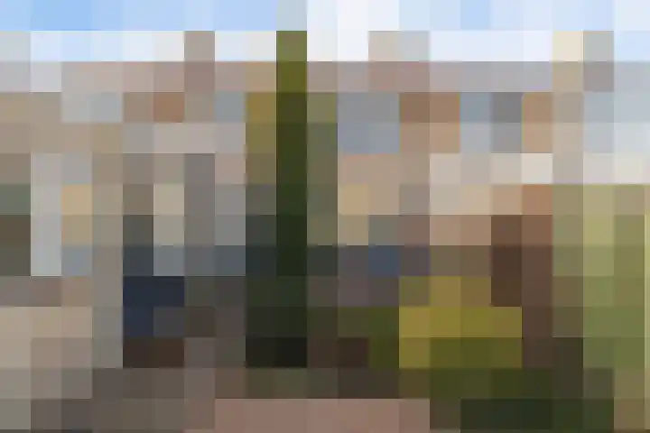 De Zuid 11 Dronten thumbnail 34