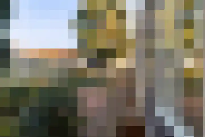 De Zuid 11 Dronten thumbnail 37