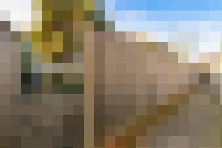 De Zuid 11 Dronten thumbnail 38
