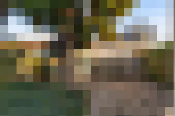 De Zuid 11 Dronten thumbnail 39