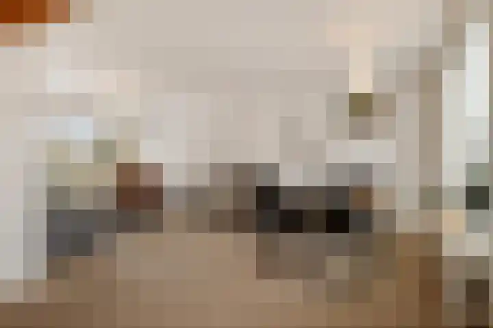 De Zuid 11 Dronten thumbnail 4