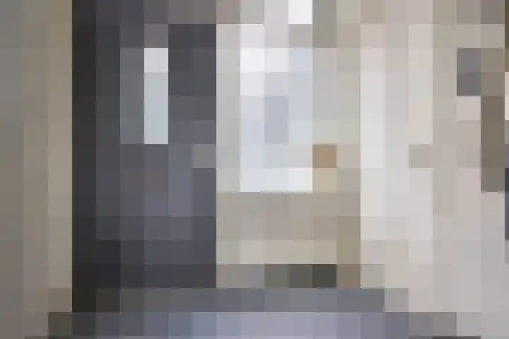 De Zuid 11 Dronten thumbnail 5