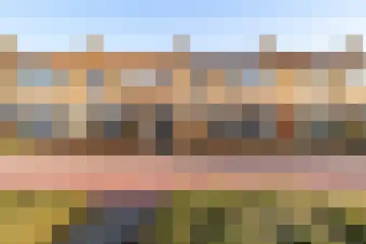 De Zuid 11 Dronten thumbnail 5