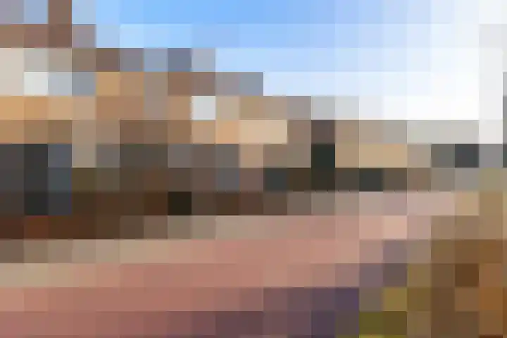 De Zuid 11 Dronten thumbnail 7