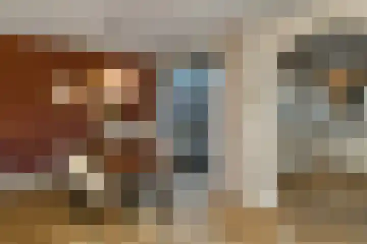 De Zuiling 100 Elst thumbnail 12