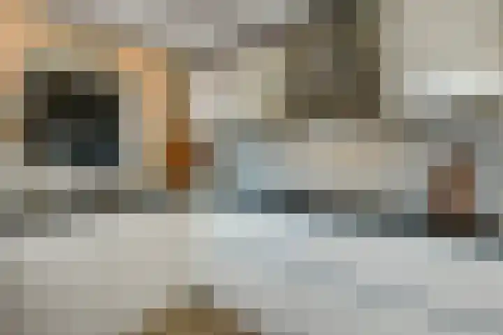 De Zuiling 100 Elst thumbnail 15