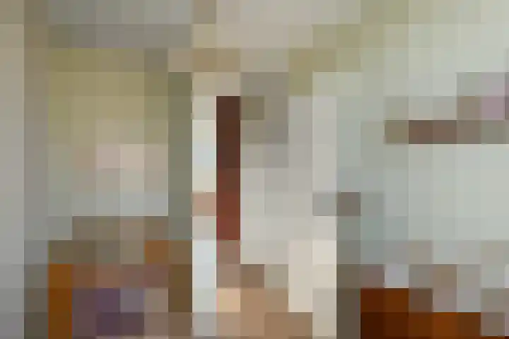 De Zuiling 100 Elst thumbnail 27