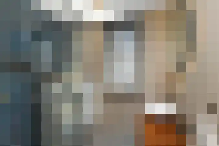 De Zuiling 100 Elst thumbnail 28