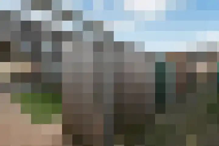 De Zuiling 100 Elst thumbnail 46