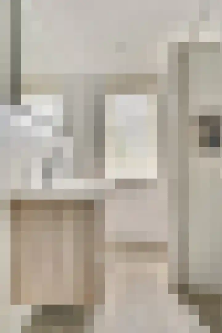De Zuiling 116 Elst thumbnail 16