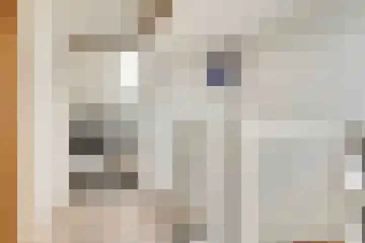 De Zuiling 116 Elst thumbnail 27