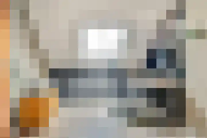 De Zuiling 116 Elst thumbnail 29
