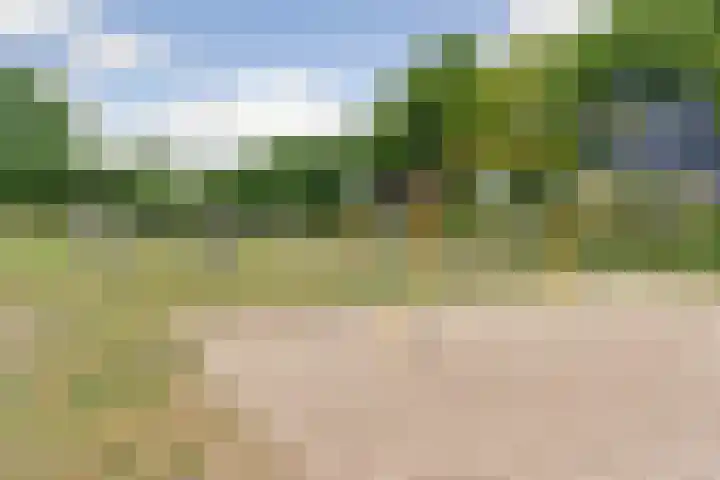De Zuiling 116 Elst thumbnail 35