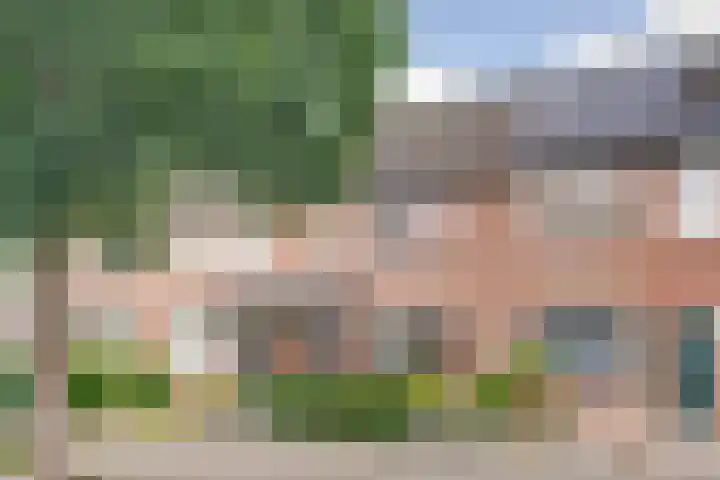 De Zuiling 116 Elst thumbnail 36