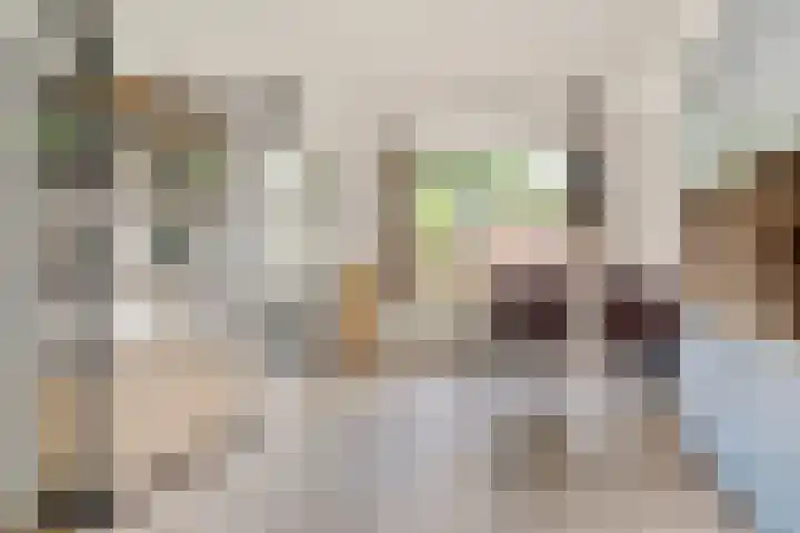 De Zuiling 116 Elst thumbnail 7