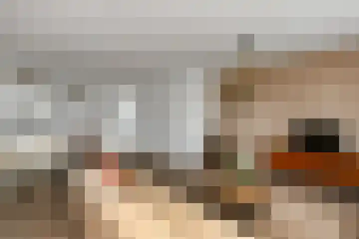De Zuiling 129 Elst thumbnail 12