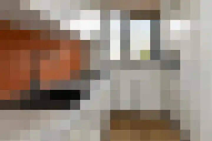 De Zuiling 129 Elst thumbnail 15