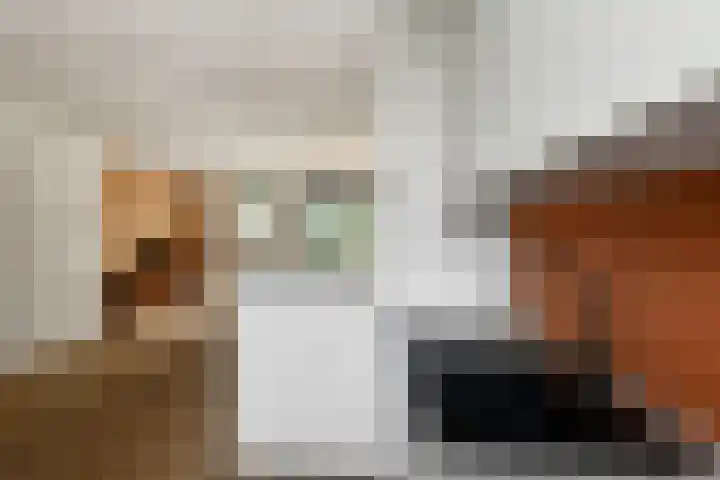 De Zuiling 129 Elst thumbnail 17