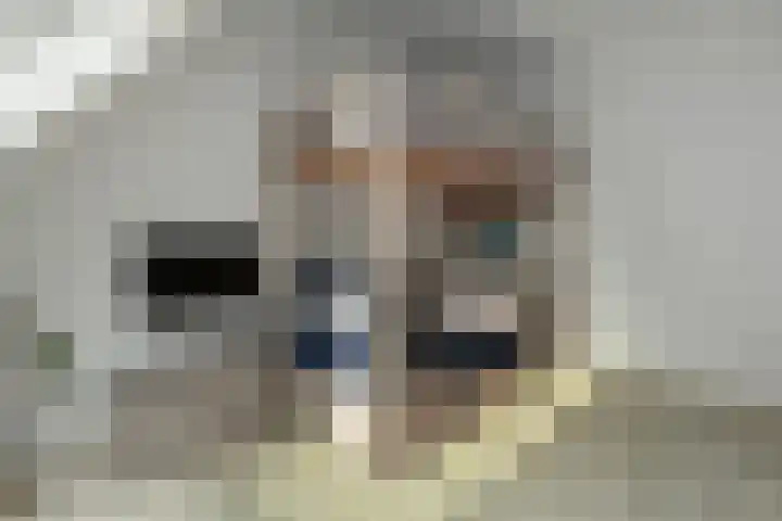 De Zuiling 129 Elst thumbnail 24