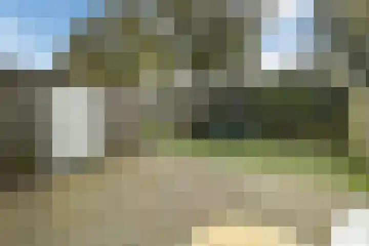 De Zuiling 129 Elst thumbnail 28
