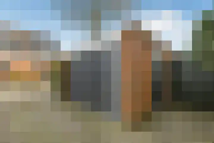 De Zuiling 129 Elst thumbnail 32