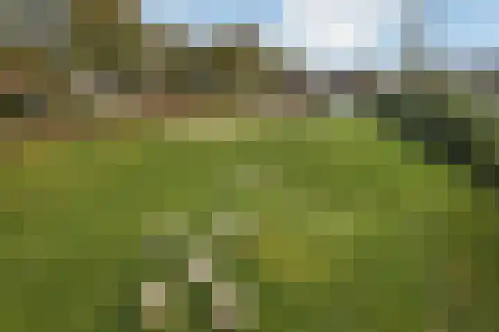 De Zuiling 129 Elst thumbnail 33
