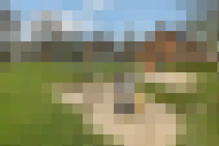 De Zuiling 129 Elst thumbnail 34