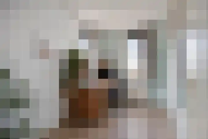 De Zuiling 71 Elst thumbnail 26