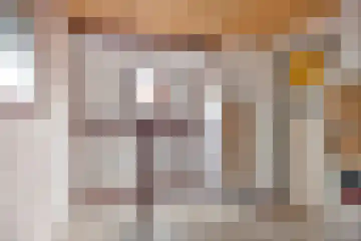 De Zuiling 71 Elst thumbnail 28