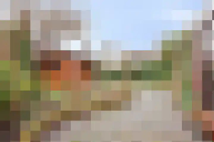 De Zuiling 71 Elst thumbnail 31