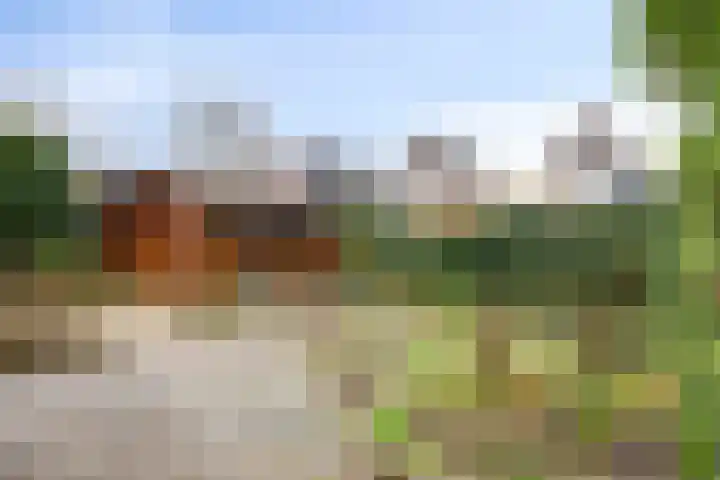 De Zuiling 71 Elst thumbnail 33